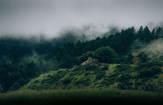 Enjoy Honeymoon in Andaman2